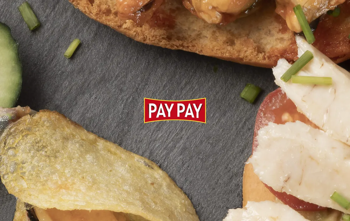 Web de Pay Pay diseñada por Grupo Promedia
